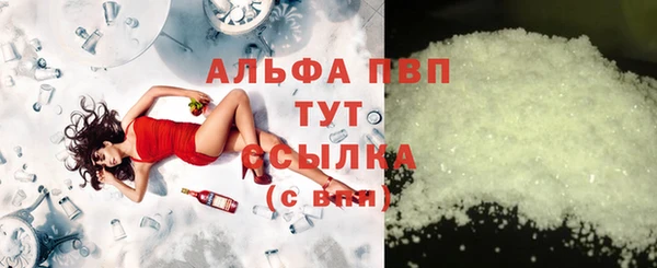 дмт Пересвет