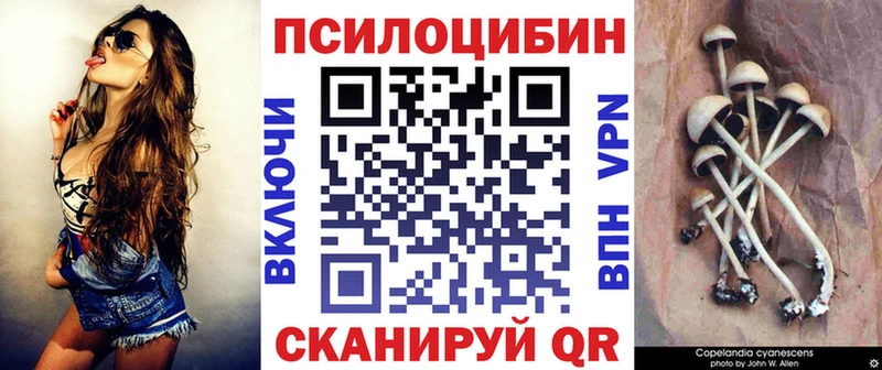 Галлюциногенные грибы мухоморы  цена   Гаврилов Посад 